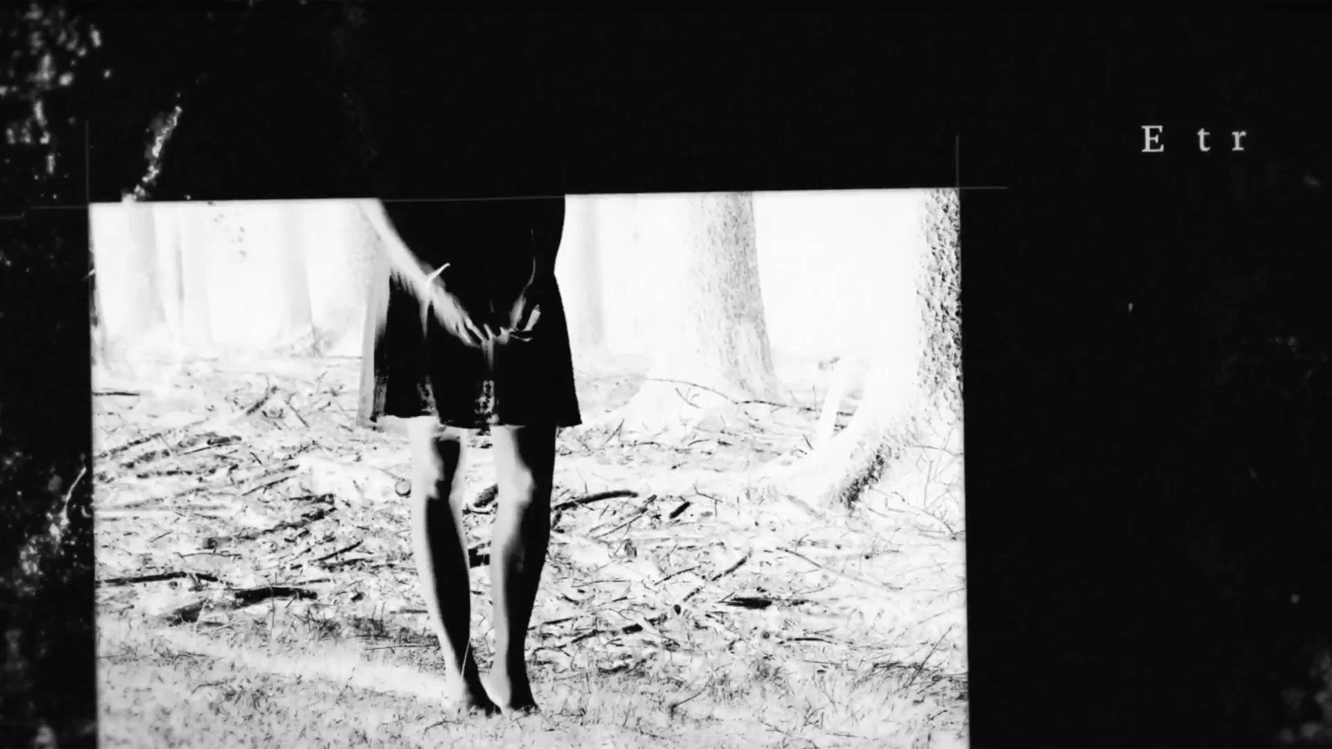 B&W Trailer Videohive 12477180 After Effects Image 7 B&W Trailer Videohive 12477180 After Effects Image 7