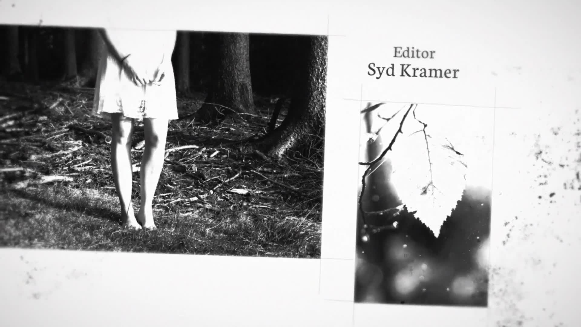 B&W Trailer Videohive 12477180 After Effects Image 8 B&W Trailer Videohive 12477180 After Effects Image 8