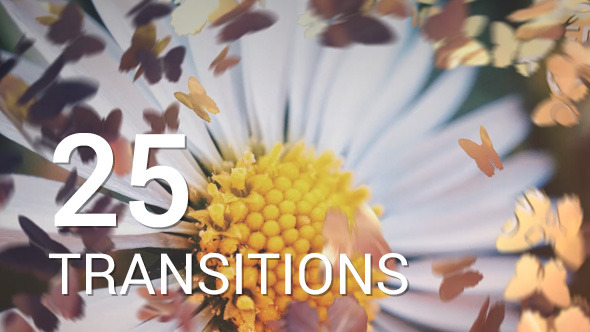 Butterflies Transitions - Download Videohive 12016750