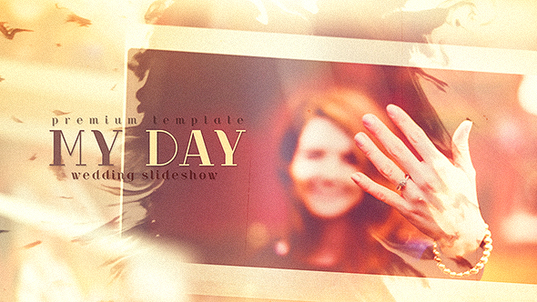 My Day - Download Videohive 21052551