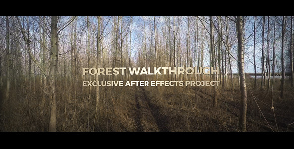 Forest Walkthrough - Download Videohive 15292093