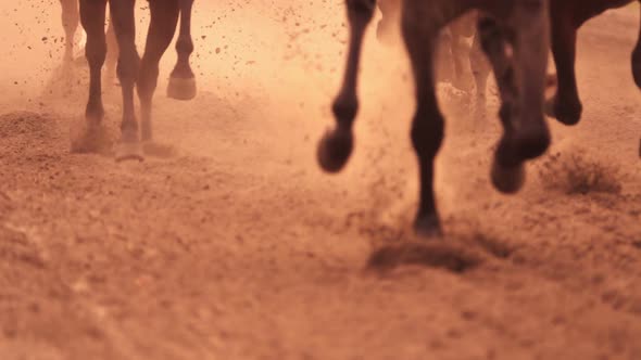 Horse Racing Feet - Download Videohive 18098061