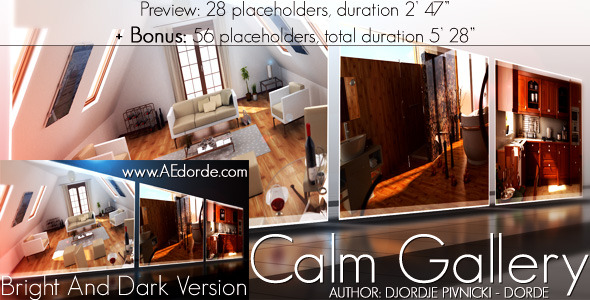Calm Gallery - Download Videohive 709009