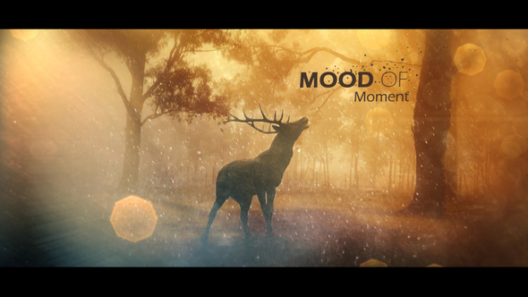 Mood Of Moments Parallax Opener - Download Videohive 20672854