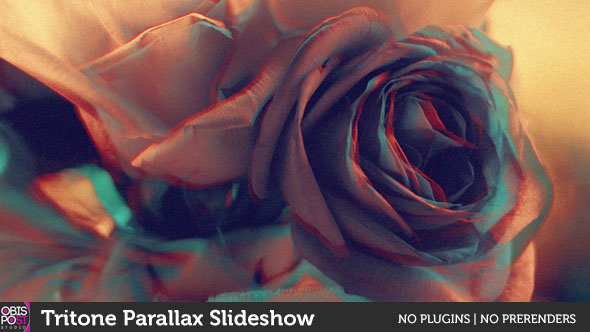 Tritone Parallax Slideshow - Download Videohive 17950241