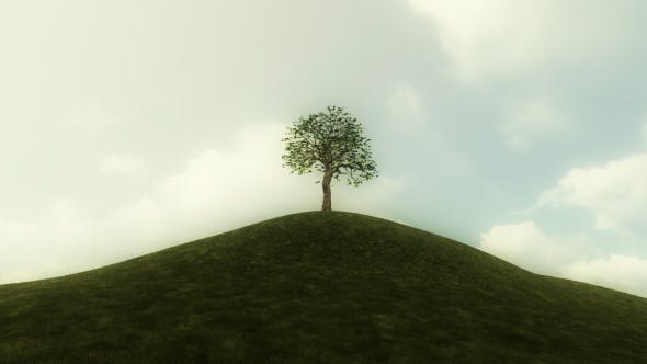 animated trees moving