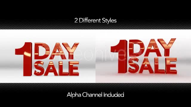 1 Day Sale - Download Videohive 10661402