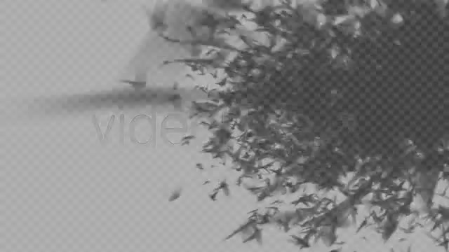 10 HD Transitions Bundle C Videohive 301892 Motion Graphics Image 5