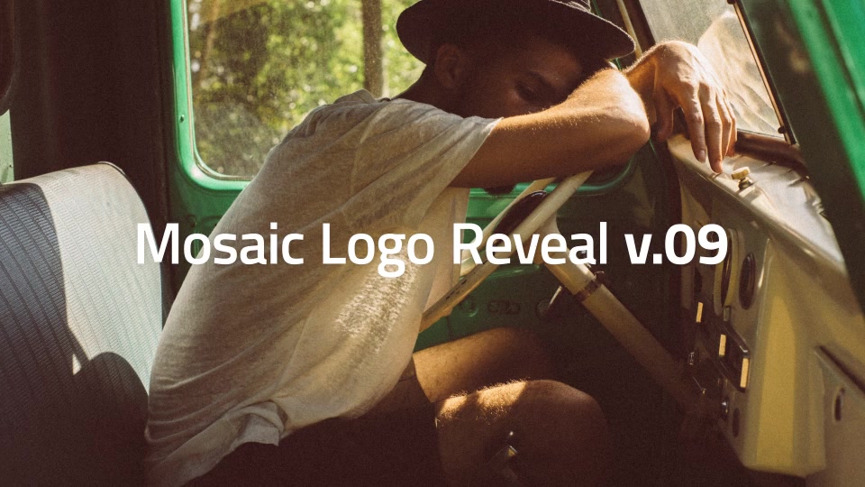 10 Mosaic Logo Reveals - Download Videohive 20728347