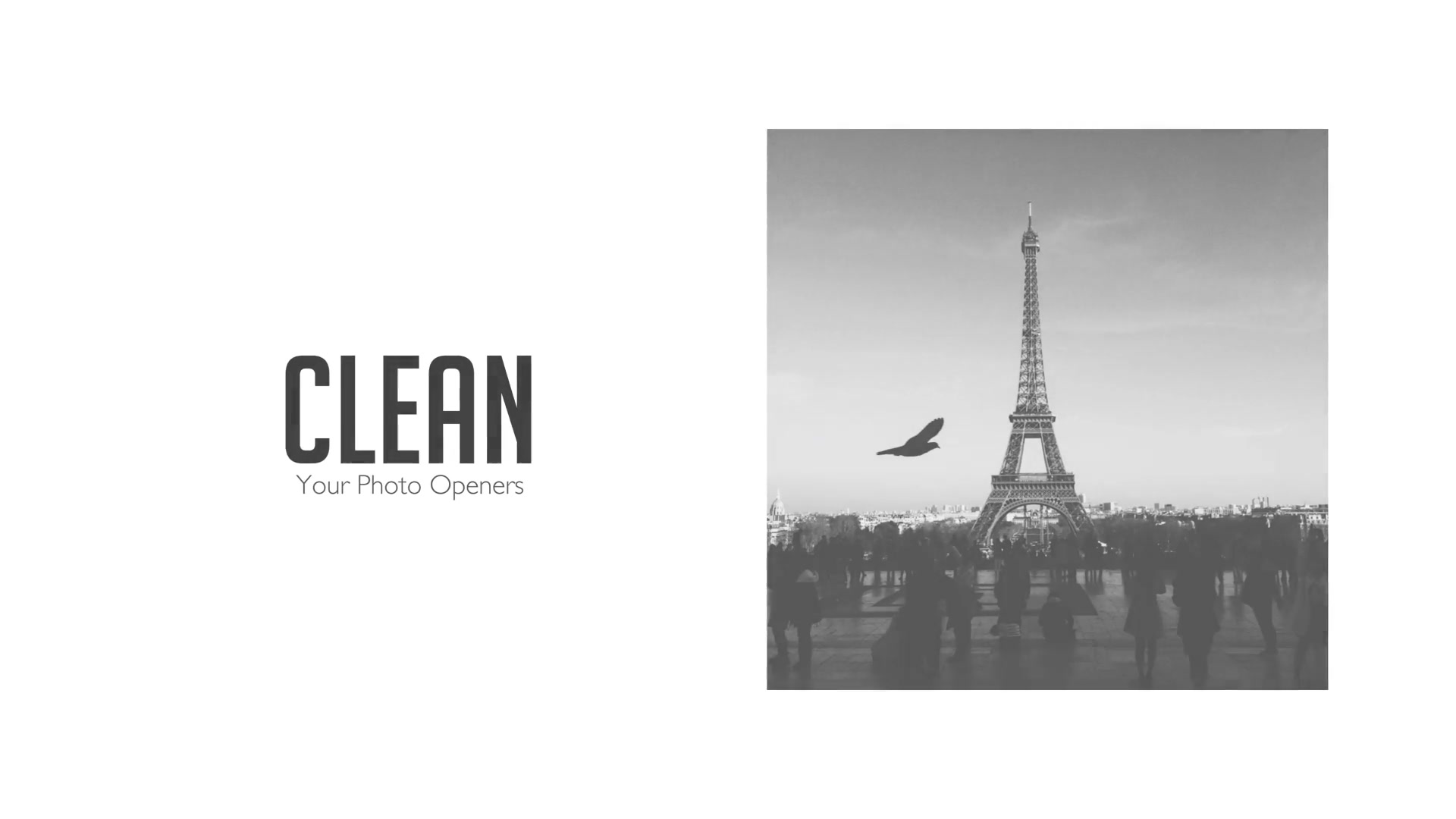 100 Clean Photo Openers Logo Reveal Pack - Download Videohive 11765632