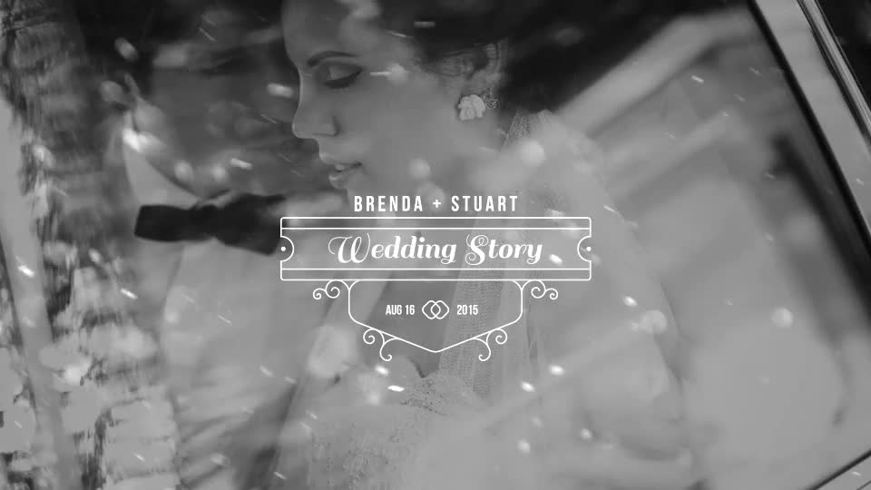 100 Luxury Wedding Titles - Download Videohive 12245773