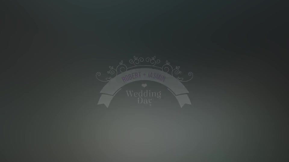 100 Luxury Wedding Titles - Download Videohive 12245773