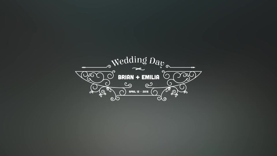 100 Luxury Wedding Titles - Download Videohive 12245773