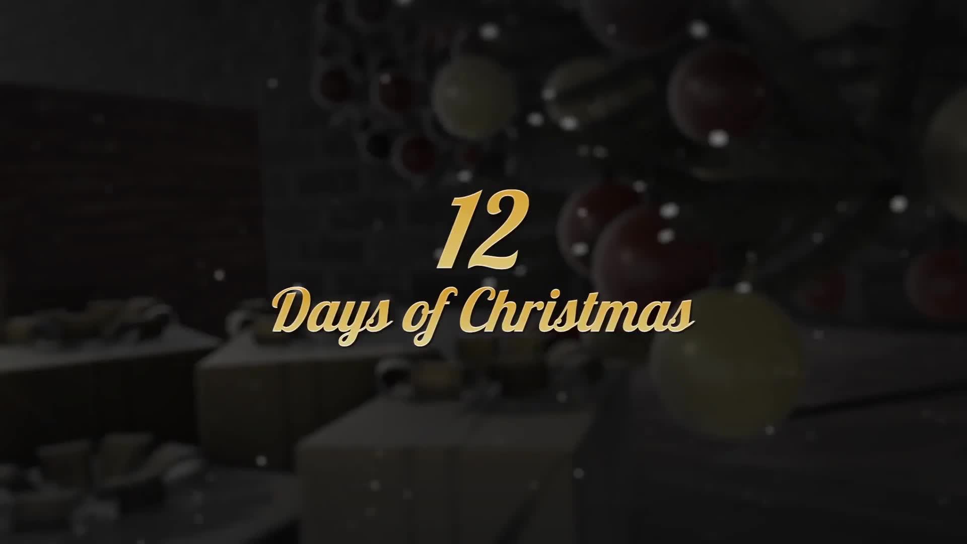 12 Days of Christmas Videohive 25300573 Premiere Pro Image 1