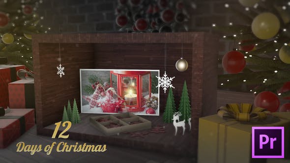 12 Days of Christmas - 25300573 Download Videohive
