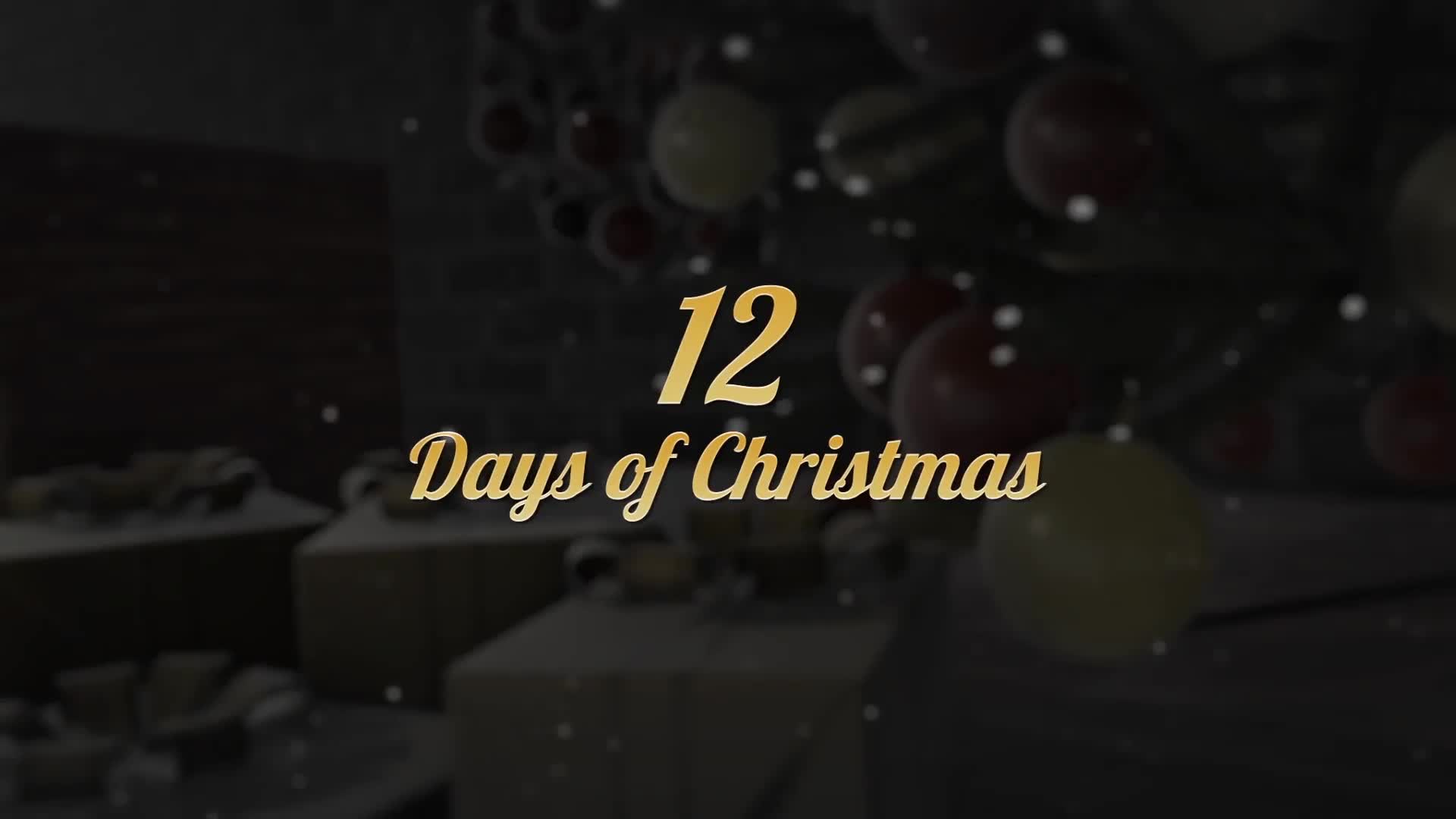 12 Days of Christmas Videohive 23050559 After Effects Image 1