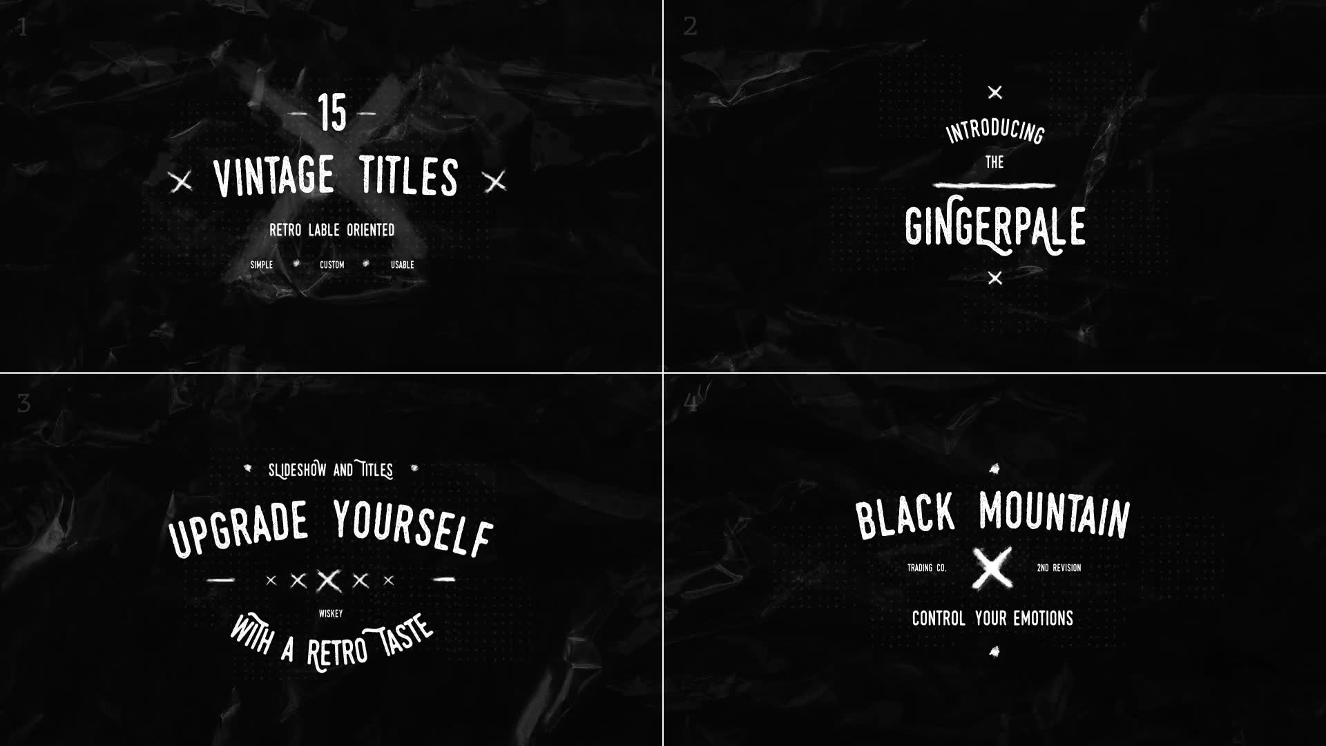 15 Vintage Titles Pack 2 Videohive 33474822 After Effects Image 3