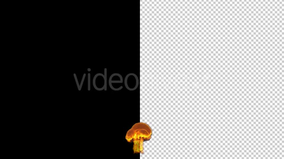 2 Fire Explosion Animation - Download Videohive 21004328