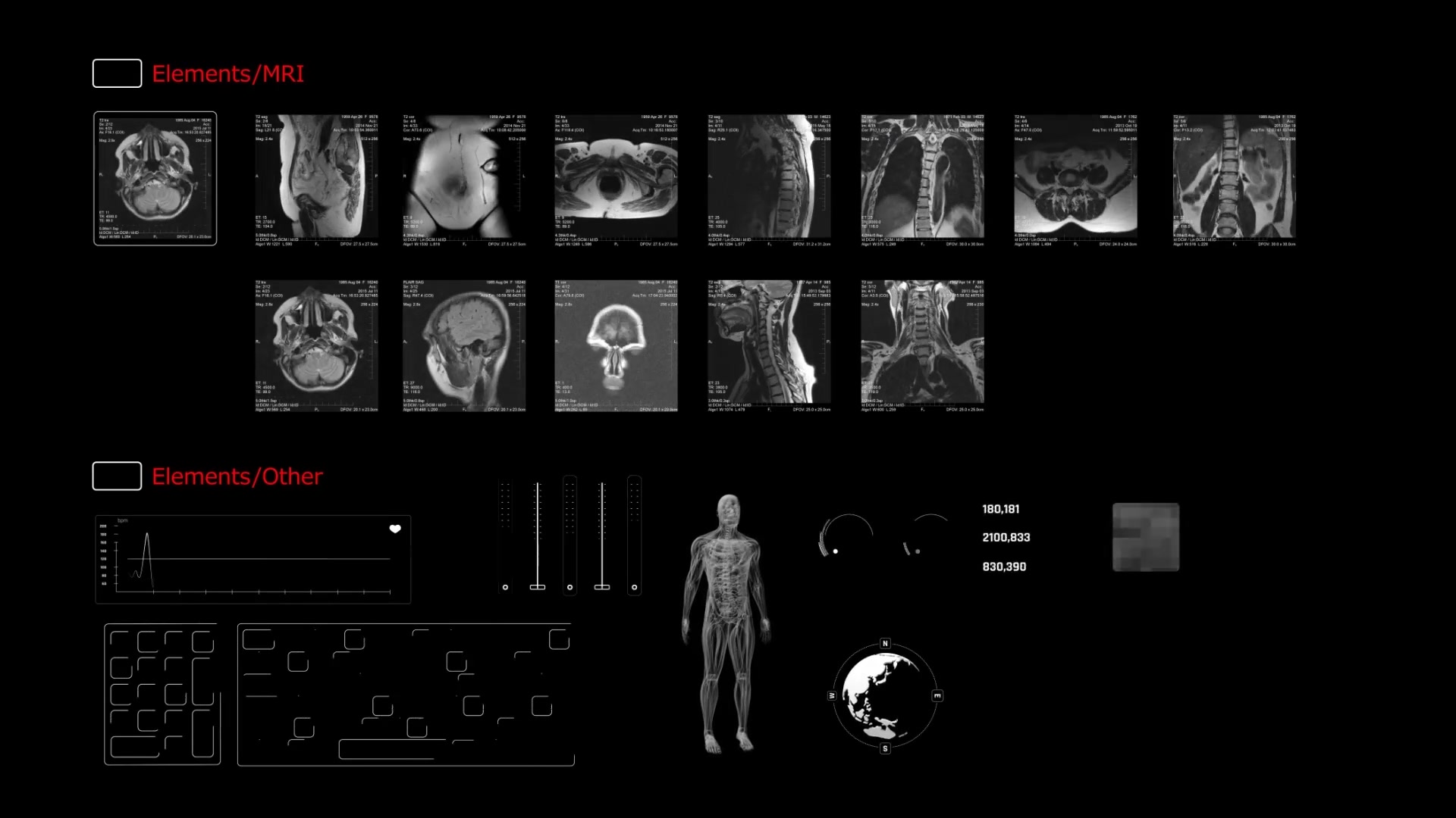 200+ Anatomical Infographics Videohive 24063143 After Effects Image 10
