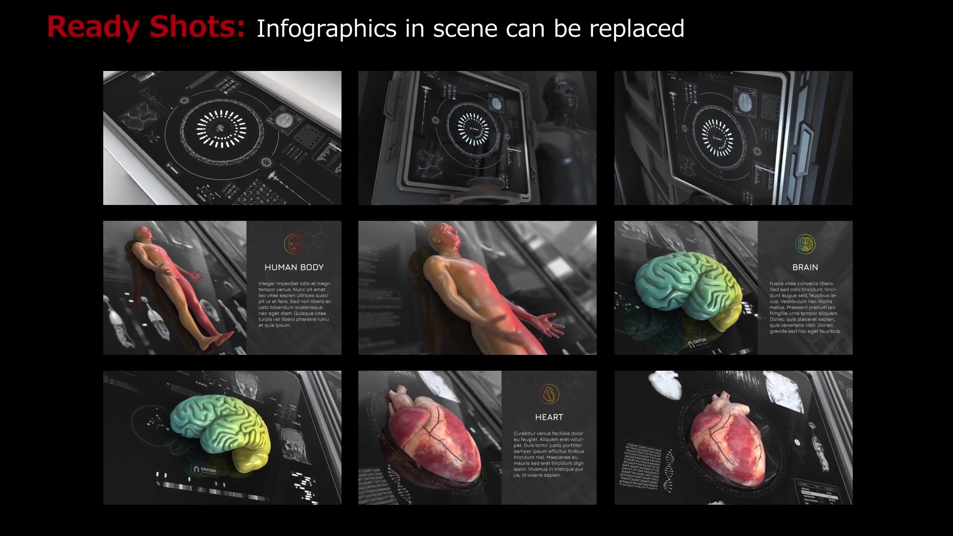 200+ Anatomical Infographics Videohive 24063143 After Effects Image 8