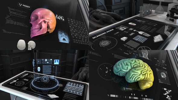 200+ Anatomical Infographics - 24063143 Videohive Download