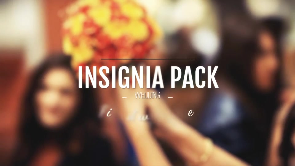 20in1 Intro Insignias Pack - Download Videohive 6587844