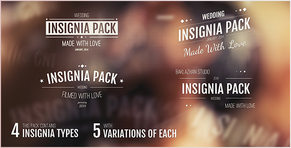 20in1 Intro Insignias Pack - Download Videohive 6587844