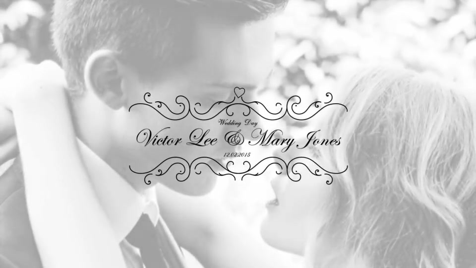 25 Wedding Titles Clean and Elegant - Download Videohive 18899589