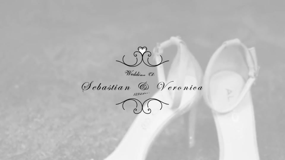 25 Wedding Titles Clean and Elegant - Download Videohive 18899589