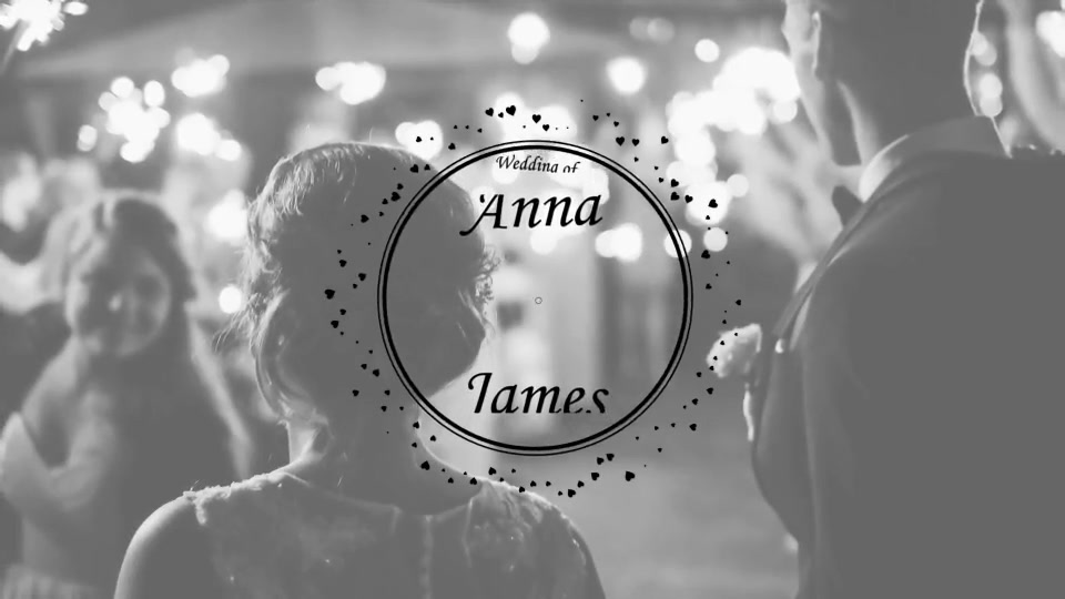 25 Wedding Titles Clean and Elegant - Download Videohive 18899589