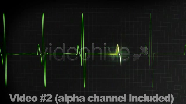 3 EKG Heartbeat Display Monitor Videos - Download Videohive 336291