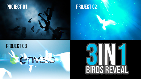 3 in 1 Birds Reveal - Download Videohive 19469027