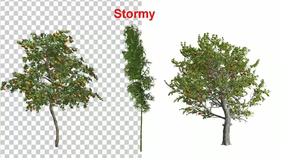 3 Types Tree Animation Pack Videohive 24132907 After Effects Image 10
