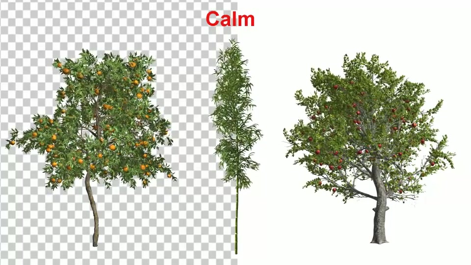 3 Types Tree Animation Pack Videohive 24132907 After Effects Image 7