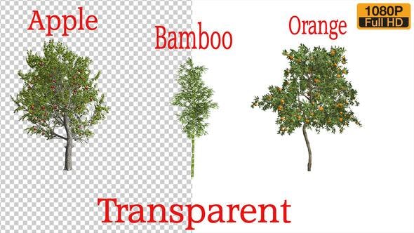 3 Types Tree Animation Pack - Videohive 24132907 Download