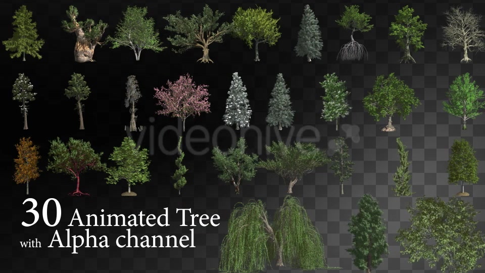 30 HI Poly Animated Tree - Download Videohive 15103022