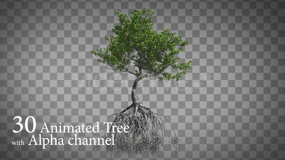 30 HI Poly Animated Tree - Download Videohive 15103022