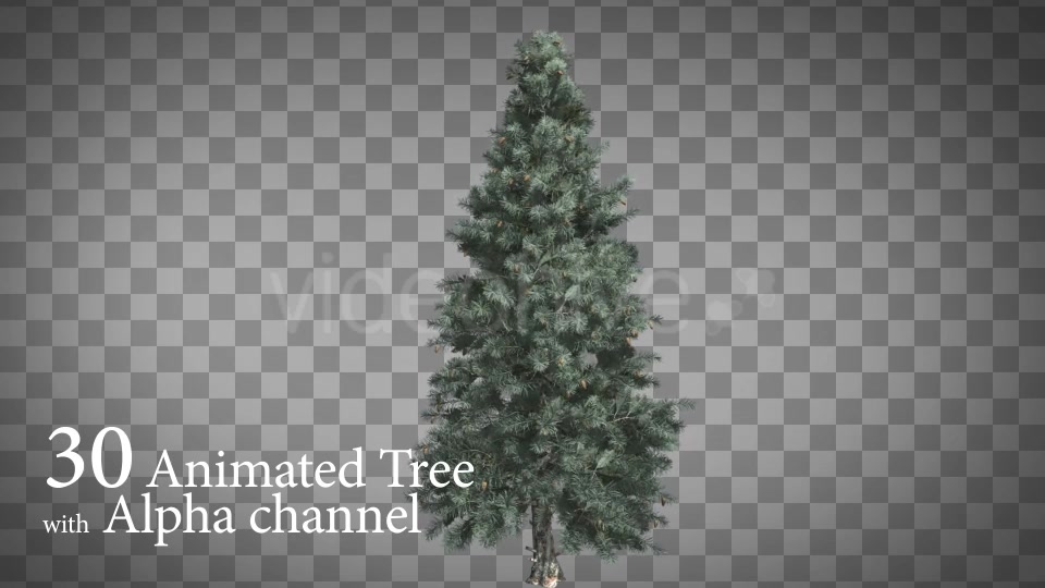 30 HI Poly Animated Tree - Download Videohive 15103022