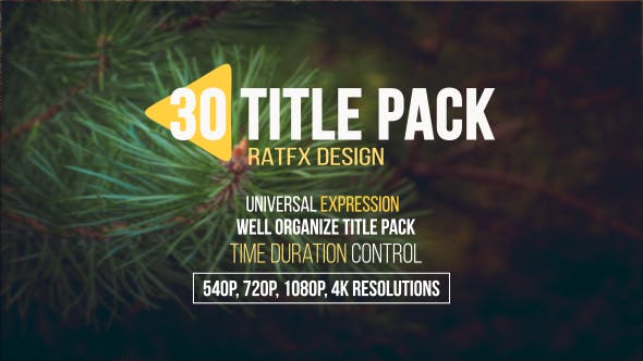 30 Title Pack - Download 20545938 Videohive