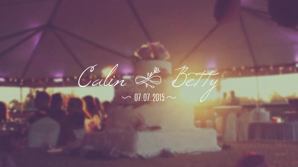 30 Wedding Titles - Download Videohive 11861477