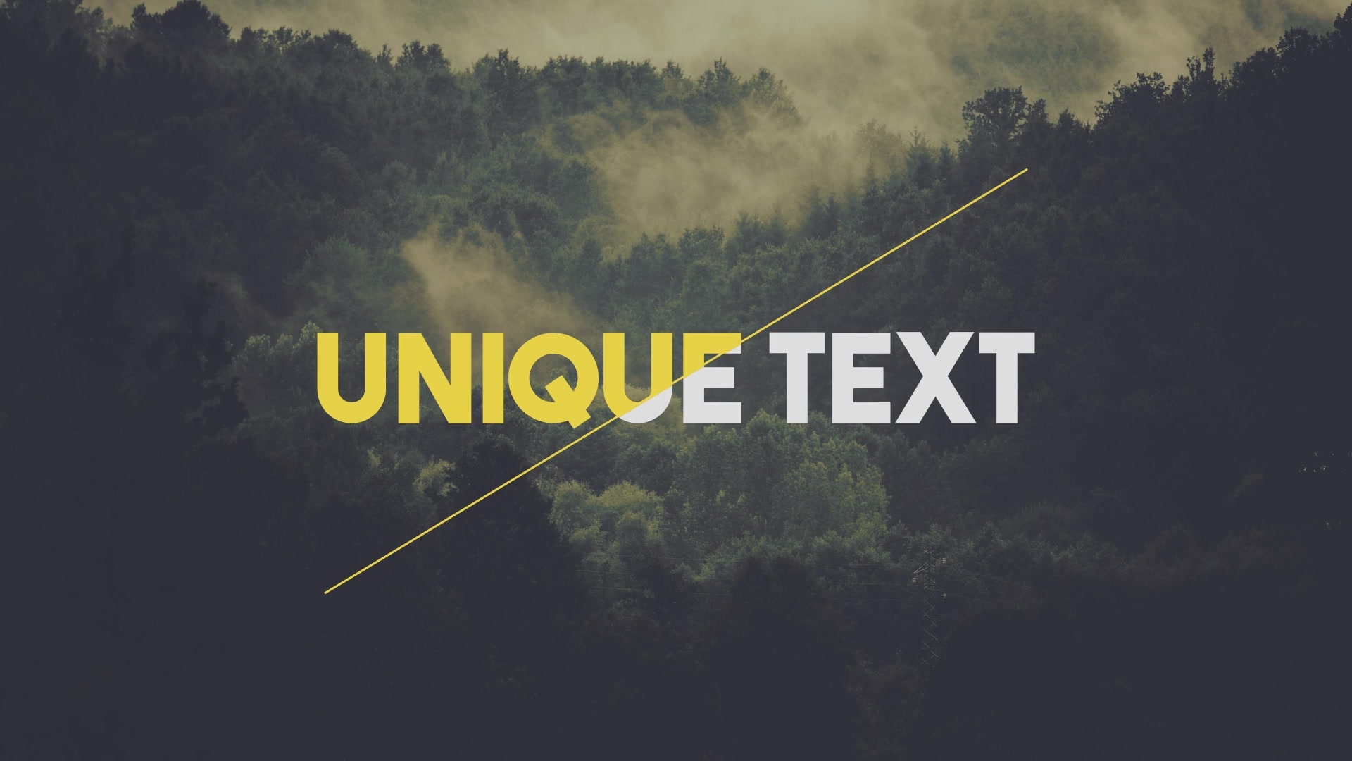 31 Unique Titles Pack - Download Videohive 16448306