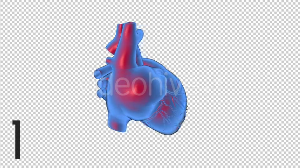 3D Beating Heart 2 Scene - Download Videohive 17455994