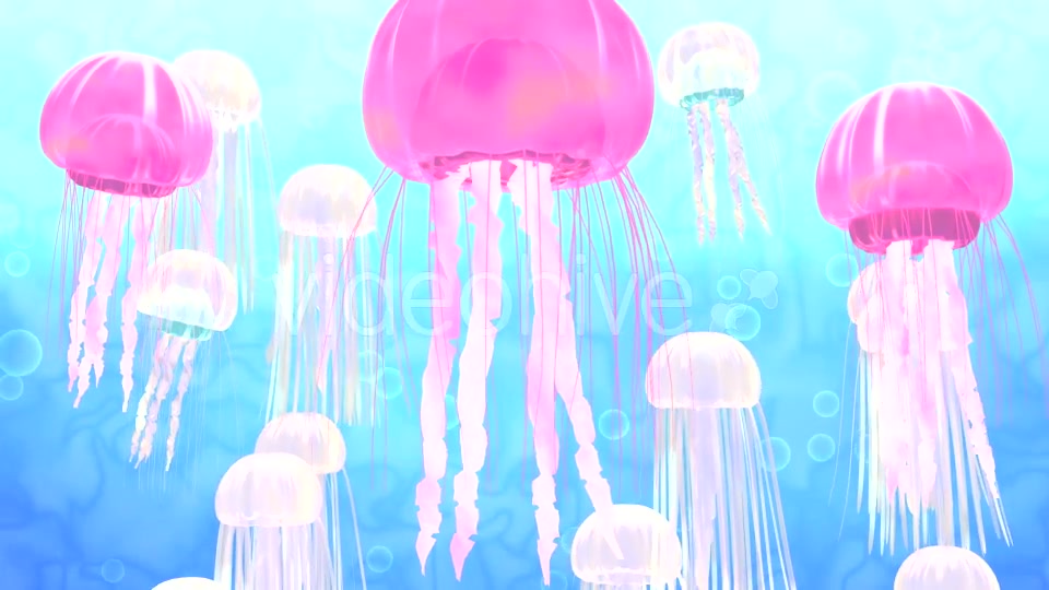 3D Cartoon Jellyfish - Download Videohive 16978571