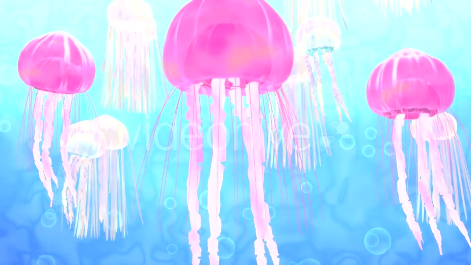 3D Cartoon Jellyfish - Download Videohive 16978571