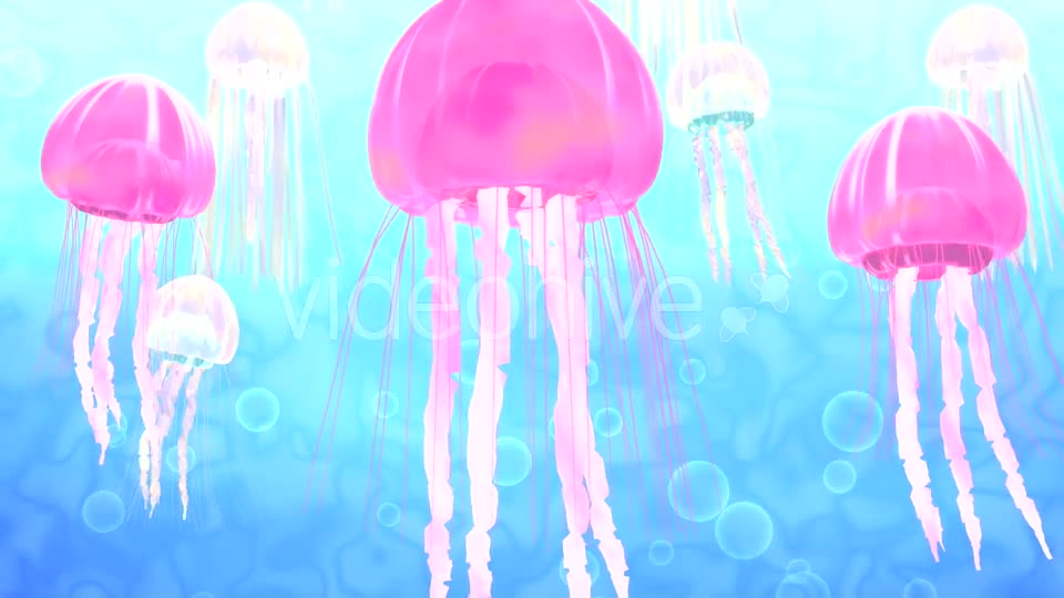 3D Cartoon Jellyfish - Download Videohive 16978571