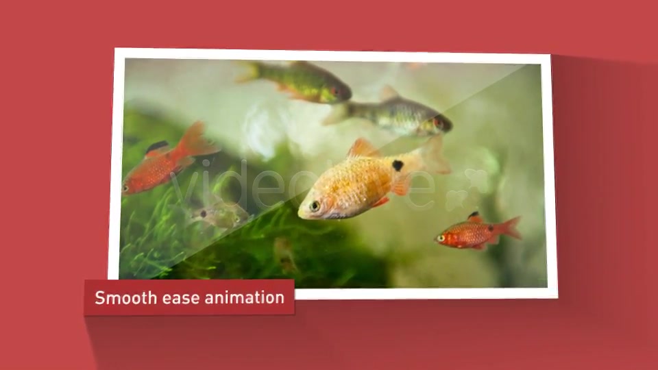 3D LightBox Media Slides - Download Videohive 5236010