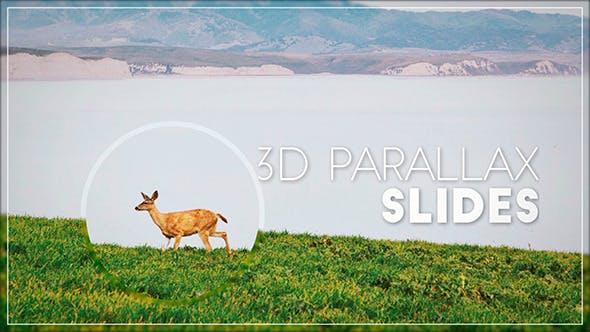 3D Parallax Slides - 11041583 Download Videohive