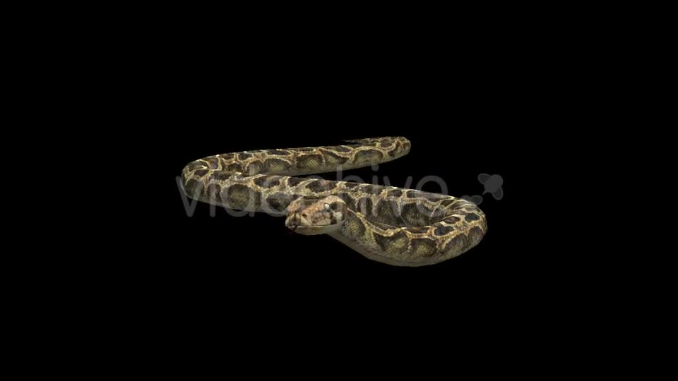 3D Snake - Download Videohive 21180365