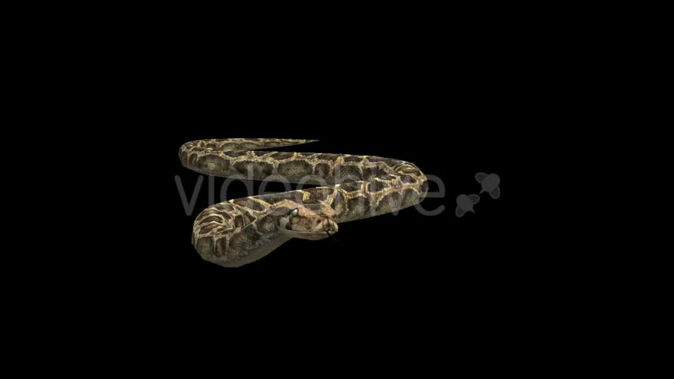 3D Snake - Download Videohive 21180365