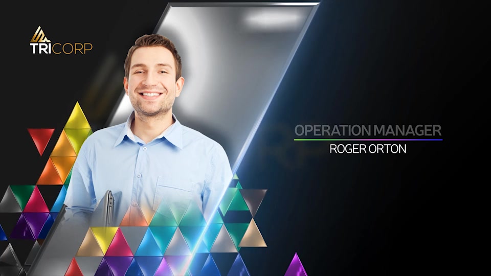 3D Triangle Concept Corporate Profile Videohive 21482481 After Effects Image 4